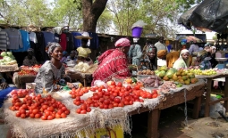 Education, language skills play big role in women and media in Africa