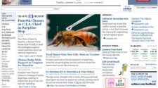 Number of newspaper websites in US offering user-generated content doubled up in 2008