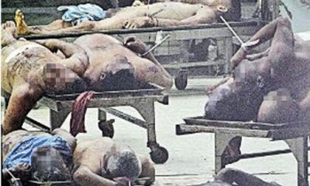 Venezuela newspaper faces probe over morgue photo of corpses